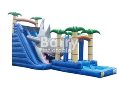 PVC Commercial Inflatable Slip And Slide For Adult China Manufacturer  BY-SNS-060